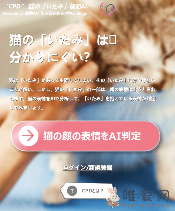 Carelogy推出创新网页应用：AI助力猫咪疼痛检测！